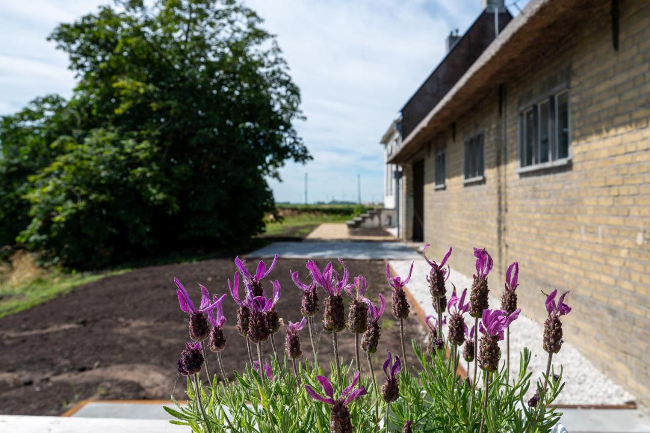 Appartement De Dageraad In Monumentale Boerderij Kimswerd Exterior foto